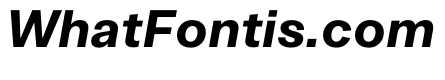 ArchiveGrotesk 700Italic Instance