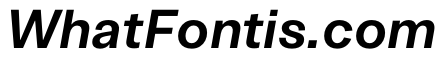ArchiveGrotesk 600Italic Instance