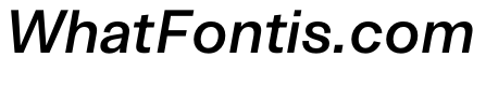 ArchiveGrotesk 500Italic Instance