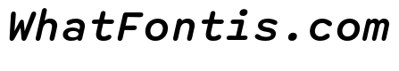 Spot MonoMediumItalic