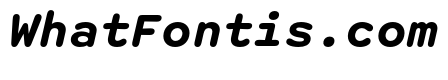 Spot MonoBoldItalic