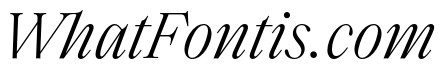 SaolText LightItalic