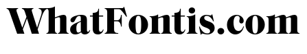 SaolStandard Bold