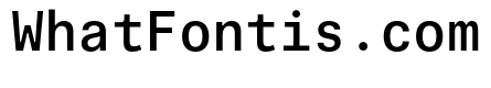 Phonic MonospacedMedium