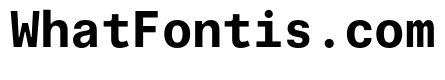 Phonic MonospacedBold