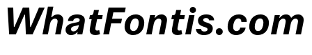 Phonic BoldItalic