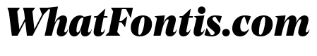 NoeStandard BlackItalic