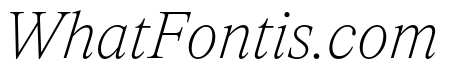 ItemsText ThinItalic