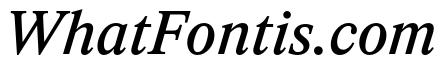 ItemsText MediumItalic