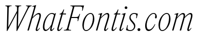 ItemsText CondensedThinItalic