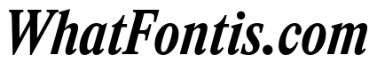 ItemsText CondensedBoldItalic