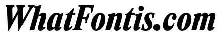 ItemsText CondensedBlackItalic