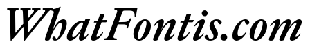 EdictText MediumItalic