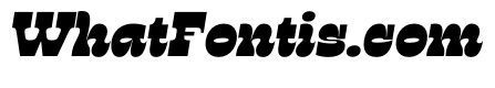 RSTSilvestre StrongUltraItalic Instance
