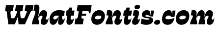 RSTSilvestre StrongBlackItalic Instance
