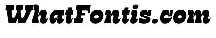 RSTSilvestre HardExtraBlackItalic Instance