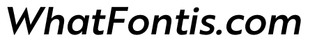 RSTBrother MediumItalic Instance