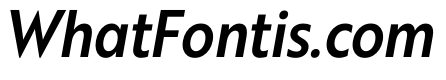 RSTBrother CndMediumItalic Instance