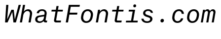 RT Dromo Mono Regular Italic