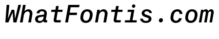 RT Dromo Mono Medium Italic