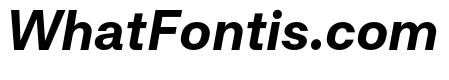 RT Dromo Bold Italic