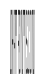 Anamorphe XXXLight Instance