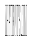 Anamorphe XXThin Instance