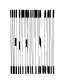 Anamorphe XXRegular Instance
