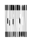 Anamorphe XXMedium Instance