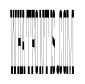 Anamorphe XRegular Instance