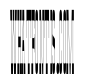 Anamorphe XMedium Instance