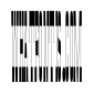 Anamorphe XBold Instance