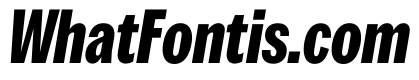 Spent CondExBdItalic Instance