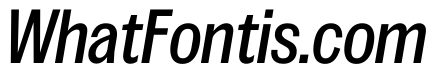 Spent CmpctItalic Instance