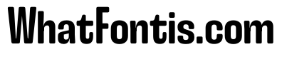 Snug LowSemibold Instance
