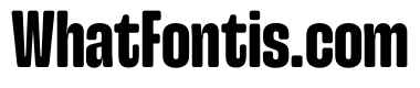 Snug CompactExtrabold Instance