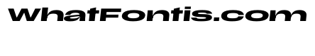 Scale SuperExtendedMediumItalic Instance