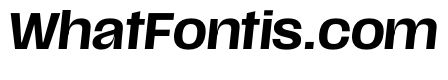 Scale MediumItalic Instance