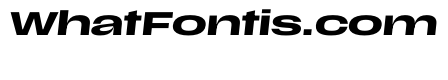 Scale ExtraExtendedMediumItalic Instance