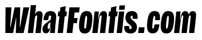 Scale ExtraCondensedBlackItalic Instance