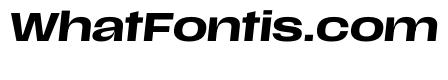 Scale ExtendedMediumItalic Instance