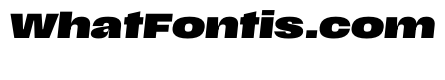 Scale ExtendedBlackItalic Instance