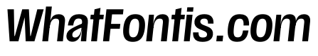 Scale CondensedMediumItalic Instance
