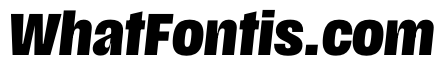 Scale CondensedBlackItalic Instance