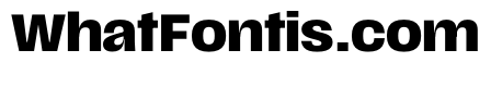 Scale Bold Instance