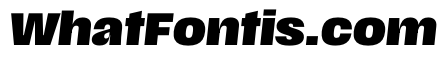 Scale BlackItalic Instance