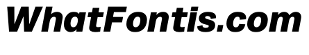 Runda BlackItalic Instance