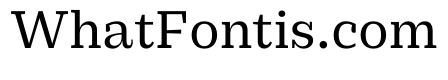 PracticalSerif Medium