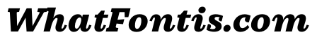 PracticalSerif BlackItalic