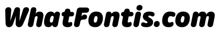 Detail HeavyItalic Instance